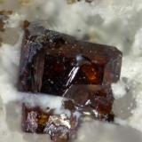 AnatasaCantera de As Pontes, A Coruña, Municipio A Coruña, Comarca A Coruña, La Coruña / A Coruña, Galicia / Galiza, EspañaCristal 0,6mm (Autor: Rafa Muñoz(mineralvarado))