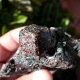 Granate (grupo)Cala Mines, Cala, Comarca Sierra de Huelva, Huelva, Andalusia, SpainCristal 2 cm. (Autor: nerofis2)