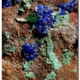 Parnauita, azurita y conicalcitaCuesta Alta Mine, Cerro Minado, Huércal-Overa, Comarca Levante Almeriense, Almería, Andalusia, SpainAncho 3 mm. (Autor: Rafa Muñoz(mineralvarado))