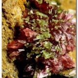 Eritrina y conicalcitaMina Cuesta Alta, Cerro Minado, Huércal-Overa, Comarca Levante Almeriense, Almería, Andalucía, EspañaGrupo de cristales de 3 mm. (Autor: Rafa Muñoz(mineralvarado))