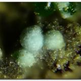 Barahonaíta-(Al)Calicata Dolores, Pastrana, Mazarrón / Águilas, Comarca Alto Guadalentín, Región de Murcia (Murcia), EspañaEsfera mayor 0.15 mm. (Autor: Rafa Muñoz(mineralvarado))