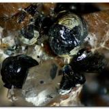 Hematites sobre cuarzoSandra Quarry, Los Barrancos, Manzanera, Comarca Gúdar-Javalambre, Teruel, Aragon, SpainEncuadre de 7mm. (Autor: Rafa Muñoz(mineralvarado))