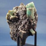 Berilo (variedad esmeralda)Emerald Deposit, A Franqueira, A Cañiza, Comarca Paradanta, Pontevedra, Galicia / Galiza, Spain12 cm x 8 cm (Autor: Echevarria)