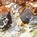 Magnetita<br />Sierra Nevada, Granada, Andalucía, España<br />Cristales 1 cm.<br /> (Autor: Nieves)