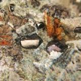 IlmenitaLlanos del Juanar, Ojén, Comarca Costa del Sol Occidental, Málaga, Andalusia, SpainCristales 7 mm. (Autor: Nieves)