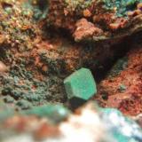 CupritaCerro Minado, Huércal-Overa, Comarca Levante Almeriense, Almería, Andalucía, EspañaCristal 4 mm. (Autor: Nieves)