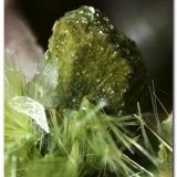 Augita. 
Cantera Los Arenales, Monte La Rocha, Torás, Castellón, Comunidad Valenciana, España.
Cristal de 2,5 mm. (Autor: Rafa Muñoz(mineralvarado))