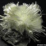 HalotriquitaBenahadux Mines, La Partala, Benahadux, Comarca Metropolitana de Almería, Almería, Andalusia, Spain5 x 5 cm. (Autor: Frederic Varela)
