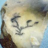 Dendrita de pirolusita sobre microcristales de cuarzo.
San Cosme de Nete, Vilalba, prov. de Lugo
Tamaño de la pieza 5x4 aprox. (Autor: Javier Arribas)