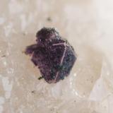 Fluorita sobre albita, cristal de 1 mm mas o menos. Cillarga, Ponteareas (Pontevedra) (Autor: usoz)