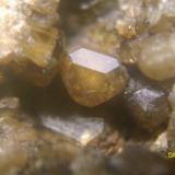 Vesubianita<br />Mines de Can Montsant, Can Montsant (Massís del Montnegre), Hortsavinyà, Tordera, Comarca Maresme, Barcelona, Cataluña / Catalunya, España<br />Cristal de unos 3 mm<br /> (Autor: marcel)