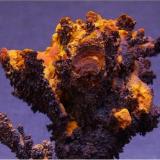 GoethitaAlosno, Comarca El Andévalo, Huelva, Andalusia, Spain5 x 3,5 cm. (Autor: Antonio Alcaide)