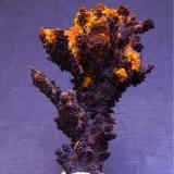 GoethitaAlosno, Comarca El Andévalo, Huelva, Andalusia, Spain5 x 3,5 cm. (Autor: Antonio Alcaide)
