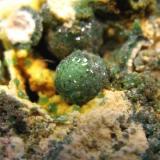 Variscita<br />Palazuelo de las Cuevas, San Vicente de la Cabeza, Comarca Aliste, Zamora, Castilla y León, España<br />Cristal de 5 mm.<br /> (Autor: Calita)