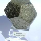 PIRITA - Coto minero San Guillermo - cantera San Carlos, en Valuengo - Jerez de los Caballeros (Badajoz) (tamaño del piritoedro: 50 mm) (Autor: David Parra Z)