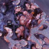 Detalle de las inclusiones de hematites en una de sus caras. (Autor: usoz)