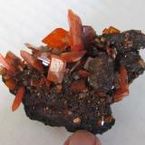 Wulfenite, Red Cloud Mine, La Paz Co., Arizona: small cabinet (Author: Peter Megaw)