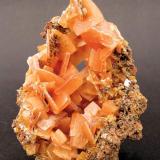 Wulfenite
Stevenson-Bennett Mine, Organ Mountains, Organ district, New Mexico, USA
Specimen size: 6 × 4.5 × 3 cm.
Main crystal size: 1 × 1 cm.
Former Folch collection
Photo: "Reference Specimens" (Author: Jordi Fabre)