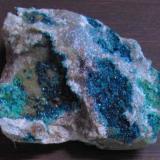 Spangolite Mex-Tex Mine. Bingham New Mexico 4 cm across (Author: Peter Megaw)