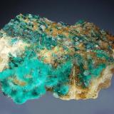 Brochantite and spangolite on a quartz and barite matrixBlanchard Mine (Portales-Blanchard Mine), Portales adit, Bingham, Hansonburg District, Socorro County, New Mexico, USA5 x 6.9 cm (Author: crosstimber)
