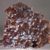 Fluorite with quartz
Galena King Mine, Tijeras Canyon District, Bernalillo Co., New Mexico
Specimen size 17 x 14 cm. (Author: am mizunaka)