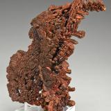 Copper
Chino Mine, Santa Rita District, Grant Co., New Mexico
Specimen size 7.6 x 4.5 cm. (Author: am mizunaka)