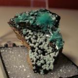 Aurichalcite, Kelly Mine, Socorro county. Thumbnail. (Author: Darren)