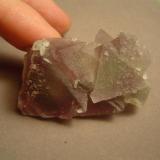 A clearer shot of the same specimen, finger for scale.  The specimens from this pocket were characterized by tiny distorted (almost spinel-twinned) late stage clear crystals that grew on and near the tips of the octahedrons. (Author: Ed Huskinson)