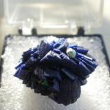 Azurite, Grant County, NM - nice little thumbnail! (Author: Darren)