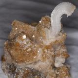 Gypsum with Calcite
Pfeil mine, Karnes Uranium District, Karnes Co., Texas, USA
Specimen size: 7.0 cm X 7.4 cm.
Crystal size: 3.6 cm. (Author: Paul Bordovsky)