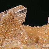 Gypsum
Kellner mine, Karnes Uranium District, Karnes Co., Texas, USA
Large crystal: 2.0 X .6 X 1.1 cm. 

Water clear gypsum (selenite) crystals on micrite matrix. Large crystal is 2.0 X .6 X 1.1 cm. Found inside concretions, self collected in 2003 during Kellner mine reclamation. (Author: Paul Bordovsky)