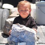 Odin contemplates a large chunk of opalized wood from Sickenius mine. (Author: Paul Bordovsky)