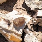 Calcite
Sickenius mine, Karnes Uranium District, Karnes Co., Texas, USA
Calcite crystal 45 x 37mm

The previous crystal detached from the vug. (Author: Paul Bordovsky)