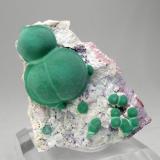 Malachite
Very well defined spherical growths
Former Martin Zinn collection
Metcalf Pit, Morenci, Greenlee County, Arizona, USA 
Specimen size: 3.9 × 3.7 × 1.5 cm.
Photo: "Reference Specimens" (Author: Jordi Fabre)