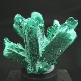 Malachite after Azurite
Bisbee, Cochise County, Arizona, USA
Malachite, velvety and fibrous completely pseudomorphed prismatic crystals of Azurite.
Specimen size: 3.7 × 3 × 2 cm.
Photo. "Reference Specimens" (Author: Jordi Fabre)