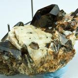 Smoky quartz cluster with microcline.
Dogtooth Peak, Dinkey Lakes, Fresno Co., California
Specimen size 7.5 x 4 cm. (Author: am mizunaka)