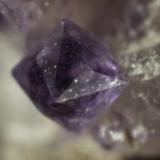 Fluorite
Woodleaf Quarry, Rowan County, North Carolina, USA
Crystal less than 0.5 mm

Fluorite (trisoctahedral) Don&rsquo;t have a note about size, but probably crystal is less than 0.5 mm. (Author: Pete Richards)