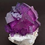 Fluorite with Calcite
Elmwood Mine, Carthage, Smith County, Tennessee, USA
Mined about 1993
Specimen size: 4.9 × 4.6 × 3 cm.
Main crystal size: 1.7 × 1.2 cm.
Former Jan Buma collection - Number 930702
Minor fluorescence long & short UV
Photo: Reference Specimens (Author: Jordi Fabre)