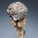 Galena
Kenora Mine, Cardin, Ottawa County, Oklahoma, USA
5.5 cm. (Author: crosstimber)