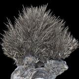 Millerite
Meikle Mine, Boostrap District
Elko County, Nevada
Specimen size 3.5 x 3.5 cm. (Author: am mizunaka)