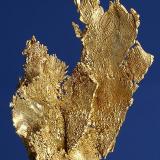 Gold
Round Mountain Mine
Nye County, Nevada
Specimen size 4.5 x 2.5 cm. (Author: am mizunaka)