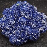 Azurite
La Sal, La Sal District, San Juan Co., Utah, USA
Specimen size 5.5 x 5 cm. (Author: am mizunaka)