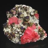 Rhodochrosite, Galena, Chalcopyrite (with Bornite coating), Quartz
Octahedron Pocket, Mini King Rise, Sweet Home Mine, Alma, Colorado, USA
Specimen size: 6.5 x 6 x 3 cm.
Main rhodo cluster: 2.5 cm.
Main Galena crystal : 1 cm
Photo: Richard Jackson (Author: chris)