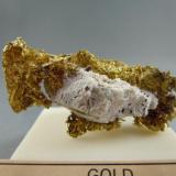 Gold
Breckenridge, Summit Co., CO.
4.2cm x 2.5cm (Author: rweaver)