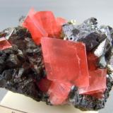 Rhodochrosite w/ Tetrahedrite
Millennium Pocket
Fluorite Raise
Sweet Home Mine
Alma, CO.
5.5cm x 3.8cm (Author: rweaver)