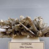 Gypsum
Ellis County, Kansas
8.8cm x 3.1cm (Author: rweaver)