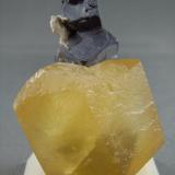 Calcite with Galena
Mid-Continent Mine
Treece, Kansas
4.0cm x 5.7cm (Author: rweaver)