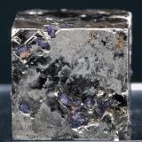 Pyrite with Fluorite
Climax Mine, Climax District, Lake Co., Colorado
Specimen size 2 x 1.9 x 2.3 cm. (Author: am mizunaka)