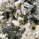 Siegenite with Chalcopyrite and Dolomite
Milliken (Sweetwater) Mine, S. Orebody, Ellington, Reynolds County, Missouri
Mined in June 1997
Main crystal size: 0.9 × 0.8 cm.
Former Silvane Collection
Photo: Reference Specimens (Author: Jordi Fabre)