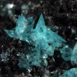 Turquoise crystals(!) not quite 1 mm long. (Author: Pete Richards)